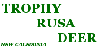 Trophy Rusa Deer Hunting